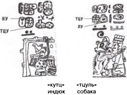 Иллюстрация к книге — Майя. Загадки великой цивилизации [i_060.jpg]