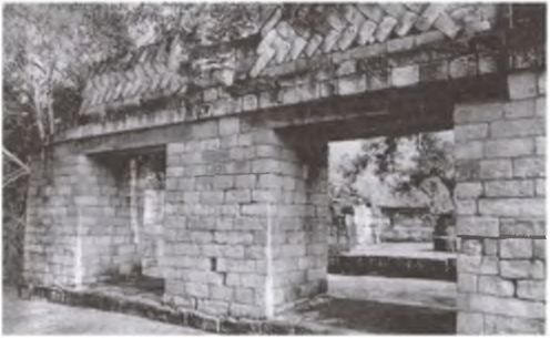 Иллюстрация к книге — Майя. Загадки великой цивилизации [i_075.jpg]