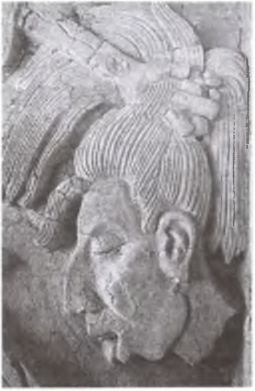 Иллюстрация к книге — Майя. Загадки великой цивилизации [i_087.jpg]