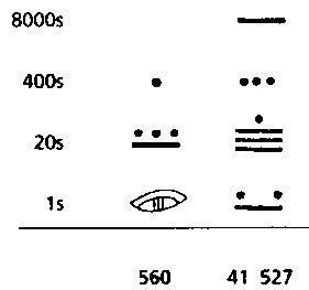 Иллюстрация к книге — Майя. Загадки великой цивилизации [i_116.jpg]