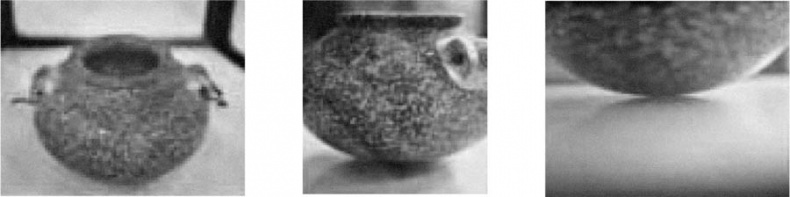 Иллюстрация к книге — Книга древних пророчеств. О чем молчат камни [_52.jpg]