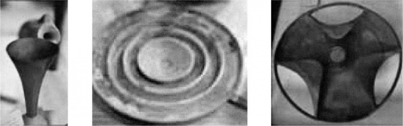 Иллюстрация к книге — Книга древних пророчеств. О чем молчат камни [_54.jpg]