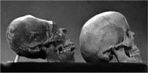 Иллюстрация к книге — Книга древних пророчеств. О чем молчат камни [_59.jpg]