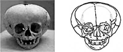 Иллюстрация к книге — Книга древних пророчеств. О чем молчат камни [_65.jpg]