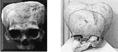 Иллюстрация к книге — Книга древних пророчеств. О чем молчат камни [_66.jpg]