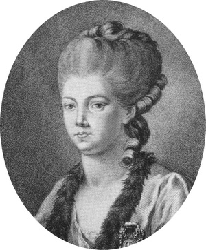 Иллюстрация к книге — Повседневная жизнь русских литературных героев. XVIII - первая треть XIX века [i_014.jpg]