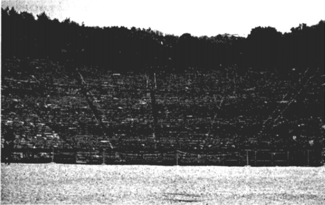 Иллюстрация к книге — Одиссея богов [i_010.jpg]