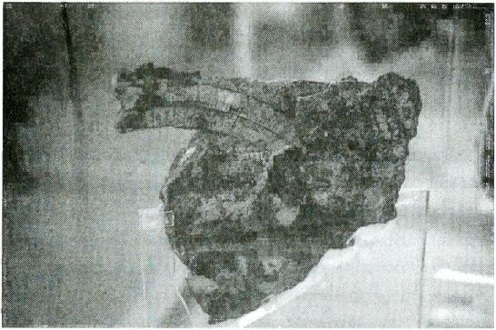 Иллюстрация к книге — Одиссея богов [i_021.jpg]