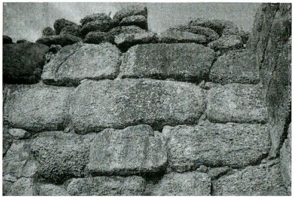 Иллюстрация к книге — Одиссея богов [i_024.jpg]