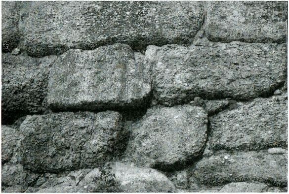 Иллюстрация к книге — Одиссея богов [i_025.jpg]