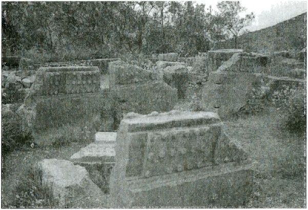 Иллюстрация к книге — Одиссея богов [i_033.jpg]