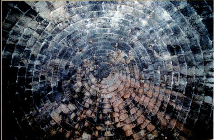 Иллюстрация к книге — Одиссея богов [i_047.jpg]