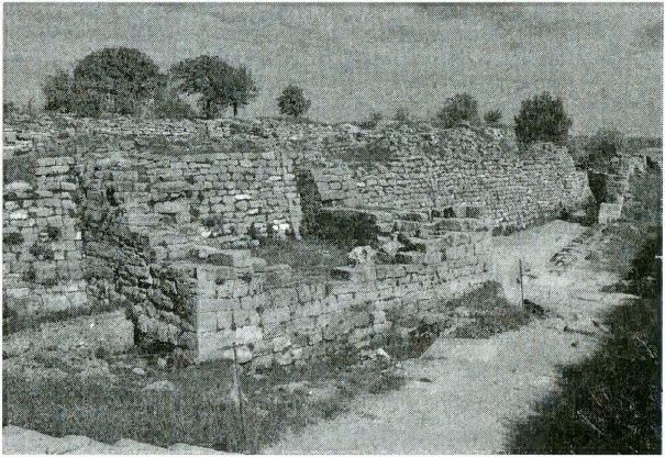 Иллюстрация к книге — Одиссея богов [i_053.jpg]