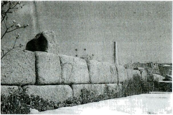 Иллюстрация к книге — Одиссея богов [i_056.jpg]