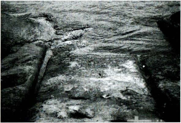 Иллюстрация к книге — Одиссея богов [i_061.jpg]