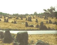 Иллюстрация к книге — Небесные учителя [pic_163.jpg]