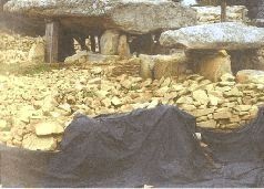 Иллюстрация к книге — Небесные учителя [pic_172.jpg]