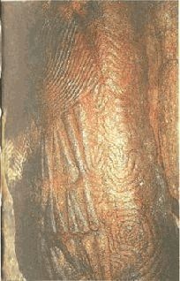 Иллюстрация к книге — Небесные учителя [pic_176.jpg]