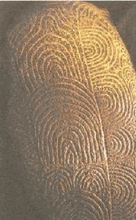 Иллюстрация к книге — Небесные учителя [pic_177.jpg]