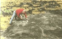 Иллюстрация к книге — Небесные учителя [pic_192.jpg]