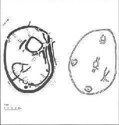 Иллюстрация к книге — Небесные учителя [pic_57.jpg]
