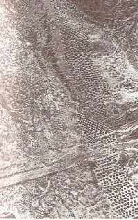 Иллюстрация к книге — Небесные учителя [pic_69.jpg]