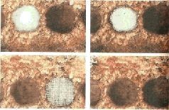 Иллюстрация к книге — Небесные учителя [pic_71.jpg]