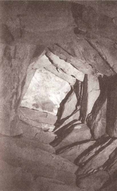 Иллюстрация к книге — Каменный век был иным... [i_005.jpg]