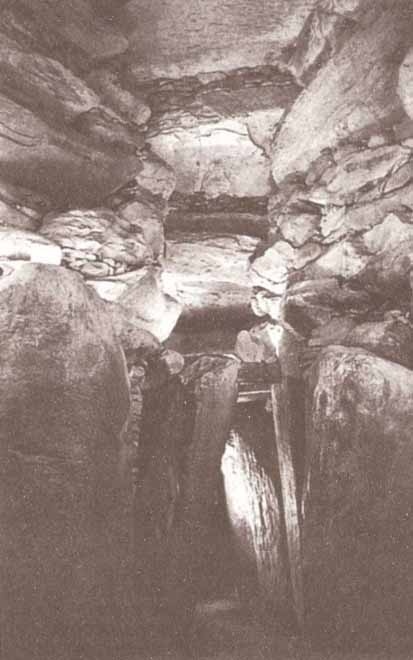 Иллюстрация к книге — Каменный век был иным... [i_006.jpg]