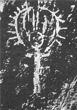 Иллюстрация к книге — Каменный век был иным... [i_012.jpg]