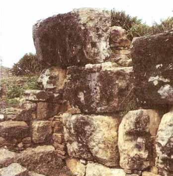 Иллюстрация к книге — Каменный век был иным... [i_035.jpg]