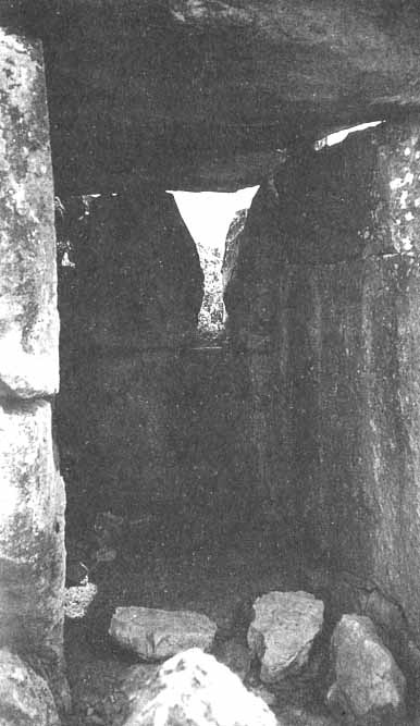 Иллюстрация к книге — Каменный век был иным... [i_037.jpg]