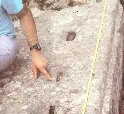 Иллюстрация к книге — Каменный век был иным... [i_040.jpg]