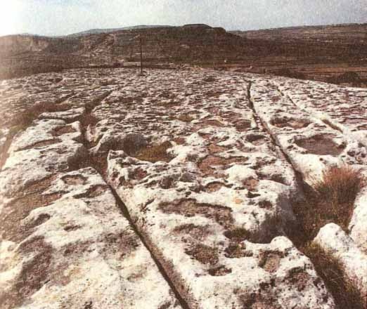 Иллюстрация к книге — Каменный век был иным... [i_042.jpg]