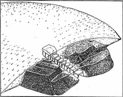 Иллюстрация к книге — Каменный век был иным... [i_046.jpg]