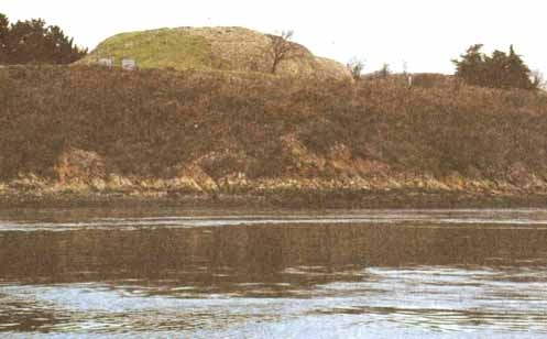 Иллюстрация к книге — Каменный век был иным... [i_047.jpg]