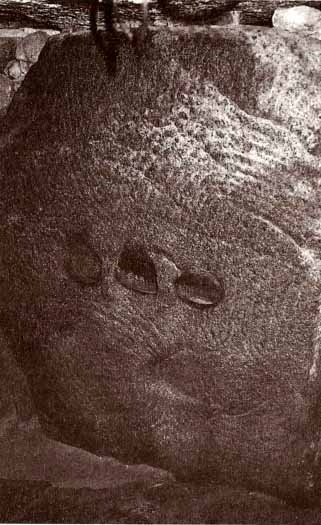 Иллюстрация к книге — Каменный век был иным... [i_054.jpg]