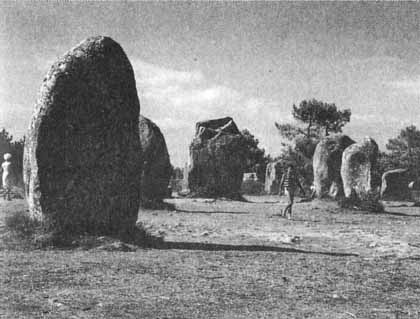 Иллюстрация к книге — Каменный век был иным... [i_057.jpg]