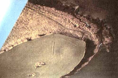 Иллюстрация к книге — Каменный век был иным... [i_073.jpg]