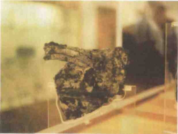 Иллюстрация к книге — Именем Зевса [i_019.jpg]