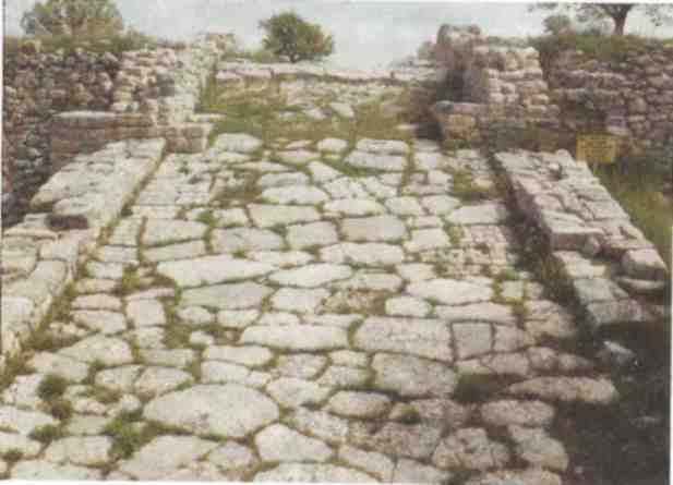 Иллюстрация к книге — Именем Зевса [i_045.jpg]