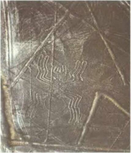 Иллюстрация к книге — Знаки, обращенные в вечность [i_001.jpg]