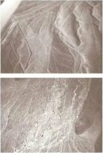 Иллюстрация к книге — Знаки, обращенные в вечность [i_020.jpg]