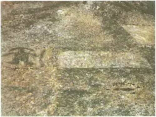 Иллюстрация к книге — Знаки, обращенные в вечность [i_049.jpg]