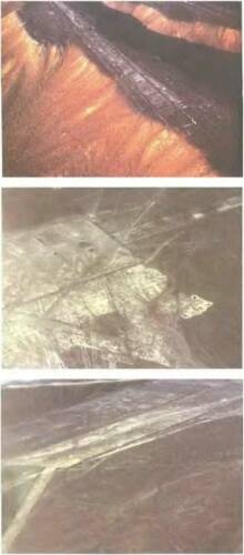 Иллюстрация к книге — Знаки, обращенные в вечность [i_070.jpg]