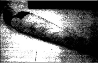 Иллюстрация к книге — Глаза Сфинкса [i_008.jpg]