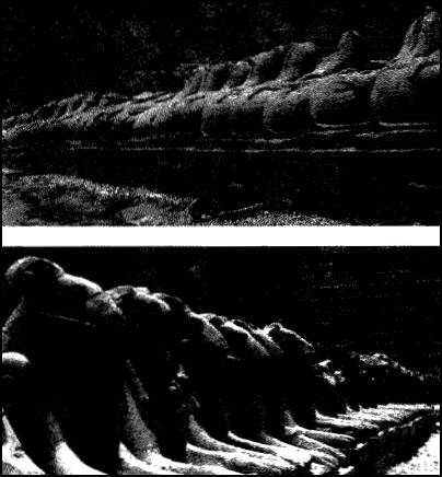 Иллюстрация к книге — Глаза Сфинкса [i_014.jpg]