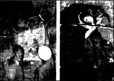 Иллюстрация к книге — Глаза Сфинкса [i_015.jpg]