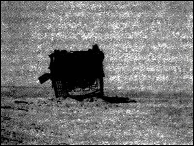 Иллюстрация к книге — Глаза Сфинкса [i_017.jpg]