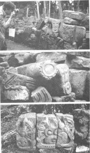 Иллюстрация к книге — Боги майя [i_012.jpg]